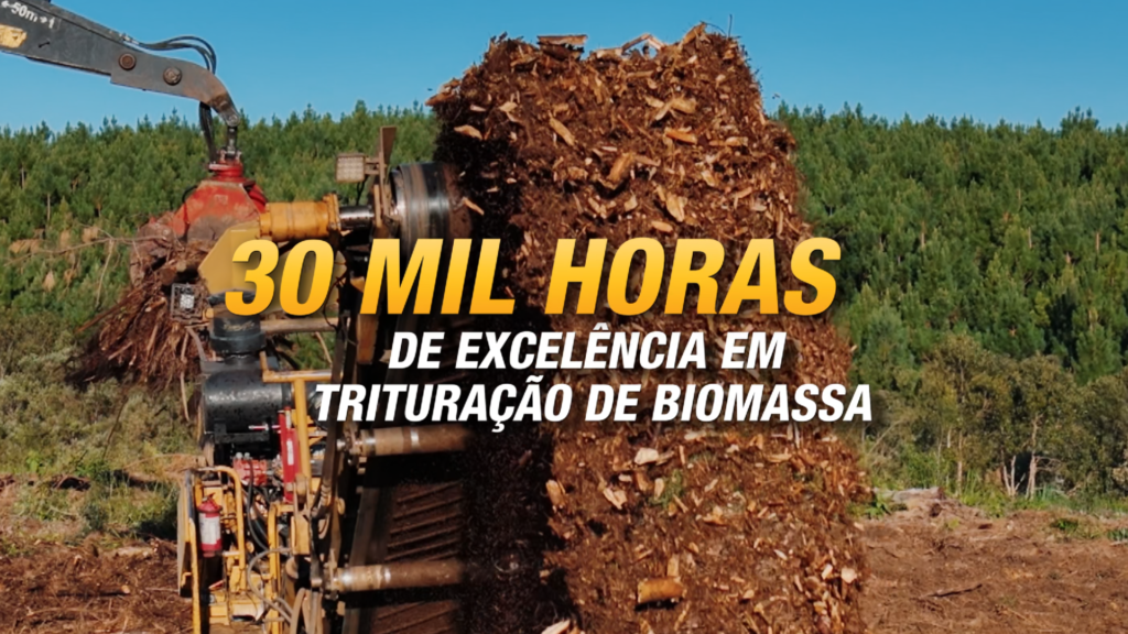 Do pioneirismo à excelência: triturador HG6000TX transforma desafios florestais em resultados consistentes.