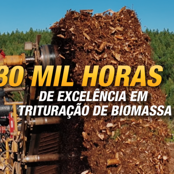 Do pioneirismo à excelência: triturador HG6000TX transforma desafios florestais em resultados consistentes.